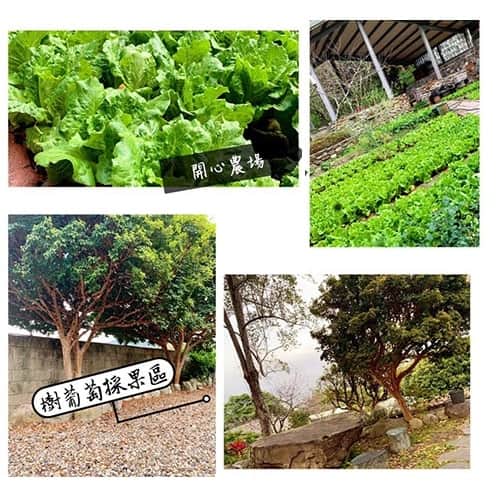 SUP水上活動（日出團）＋環湖船票＋水里住宿一晚-日月潭 (18)-2aM7B.jpg